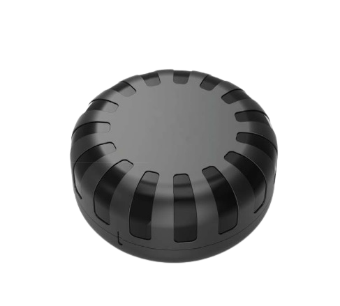 Tag tipo imán (6–12 meses)